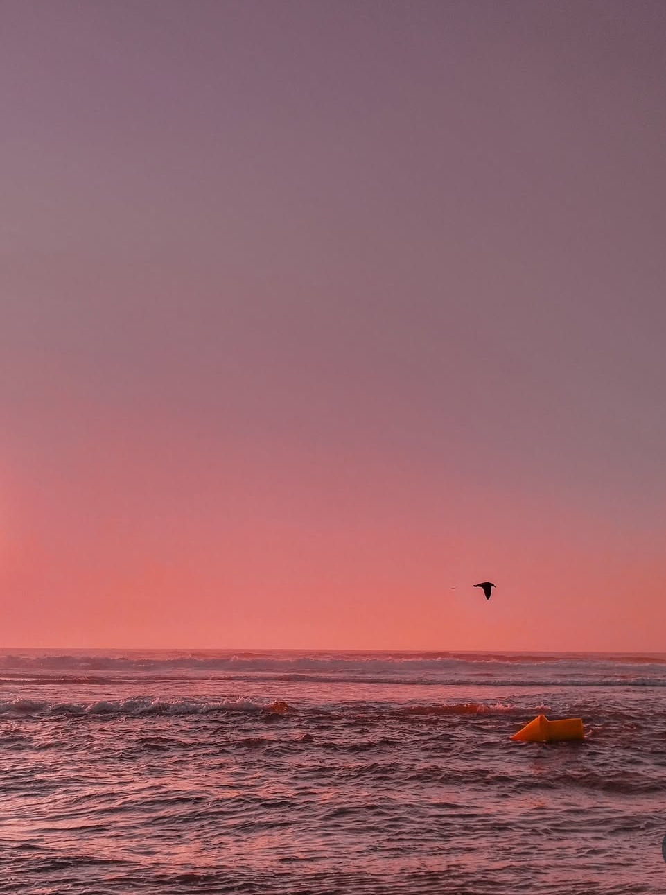 Sunset Pic 3